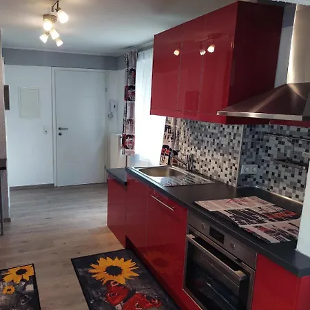 Ferienhaus Traunseestadt Stadtwohnung Apartment