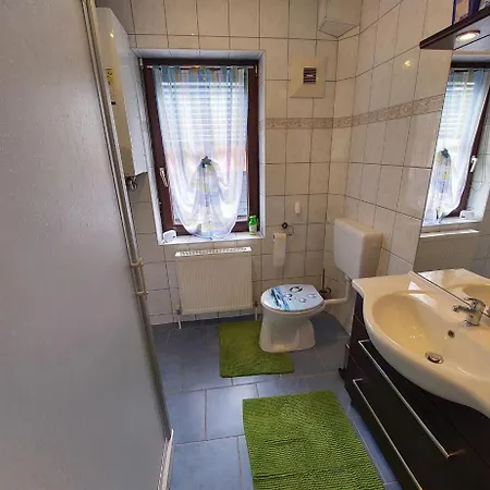 Apartment Ferienhaus Traunseestadt Stadtwohnung